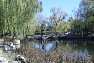 公园风景 