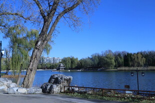 公园风景 