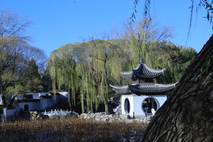 公园风景  