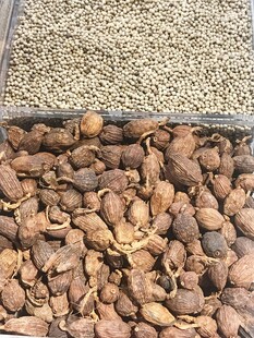 草果