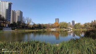 湖水