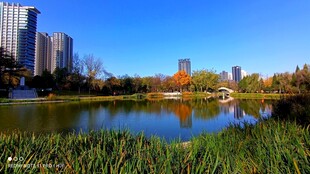 湖水