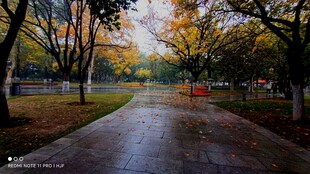 路