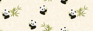 数码卡通