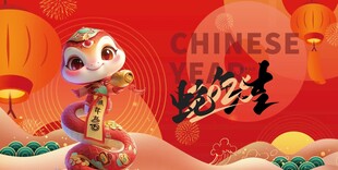 2025蛇年联欢会年会展板