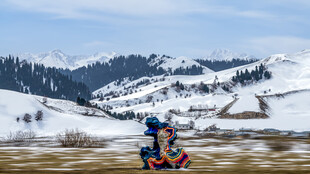 冰雪覆盖的新疆那拉提草原风景区