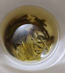 泡茶