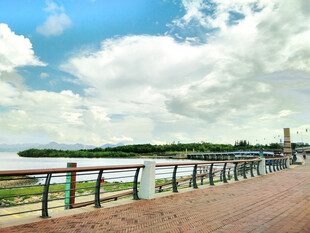 城市海岸