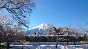 富士山