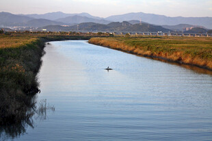 河道