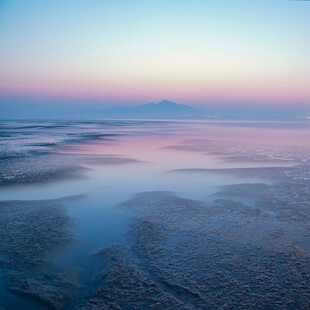 黄昏沼泽湿地