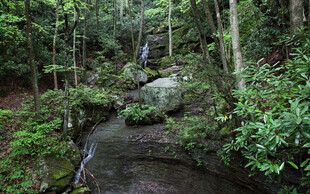 山林细流