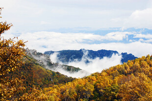 山林景色