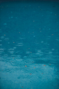 秋雨