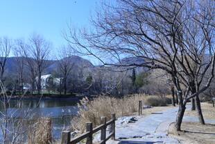 公园风景 
