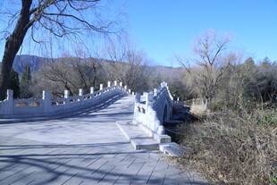 公园风景 