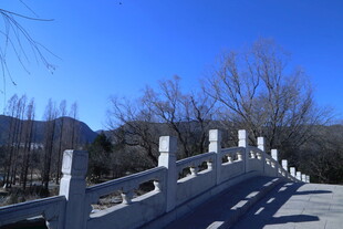 公园风景  