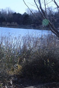 公园风景 