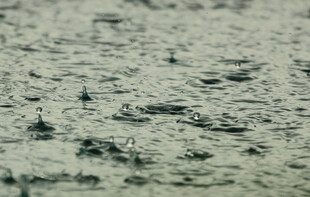 下雨天雨水