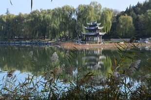 公园风景 
