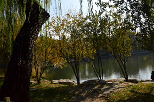 公园风景  