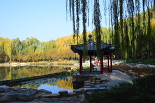 公园风景 