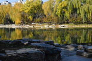 公园风景  