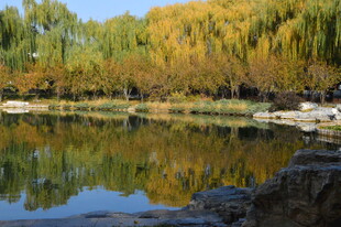 公园风景 