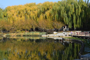公园风景 