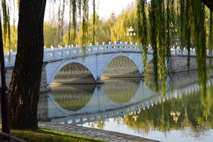 公园风景  