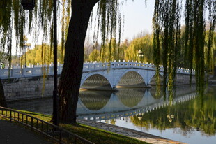 公园风景  