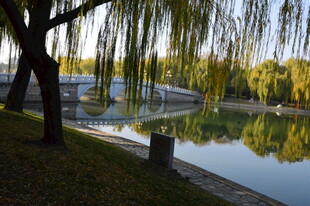 公园风景 