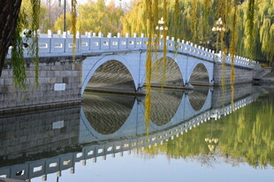 公园风景  