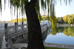 公园风景 