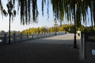 公园风景 