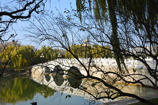 公园风景  