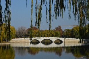 公园风景 