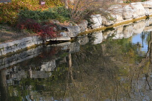 公园风景 