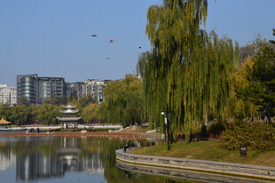 公园风景  