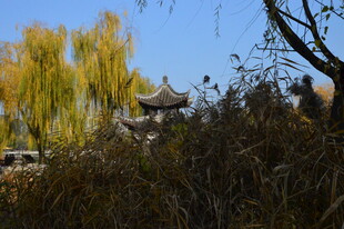 公园风景 