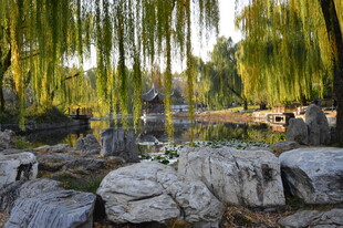 公园风景 