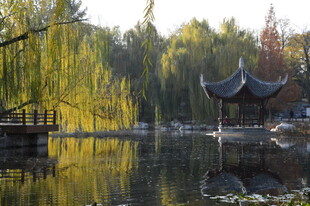 公园风景 