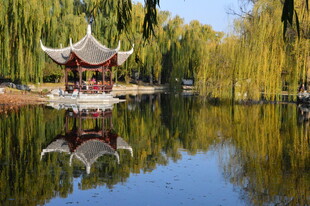 公园风景  