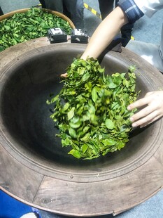 炒茶