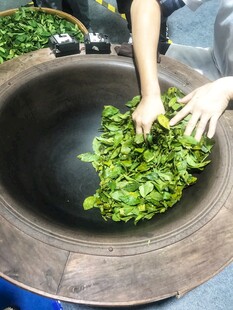 炒茶