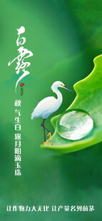 白露