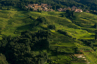 夕阳下的坝达梯田