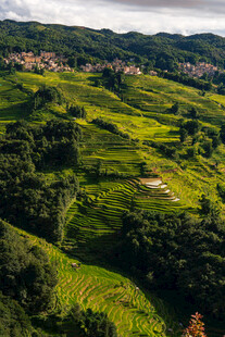 夕阳下的坝达梯田