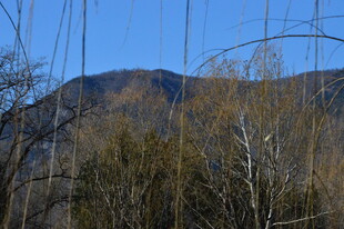 公园风景  