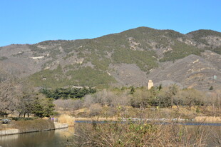公园风景 